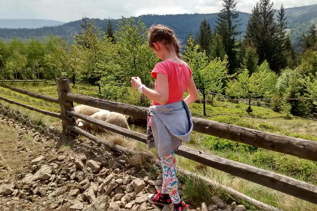 Kocia Gorka Daire Wisła Dış mekan fotoğraf